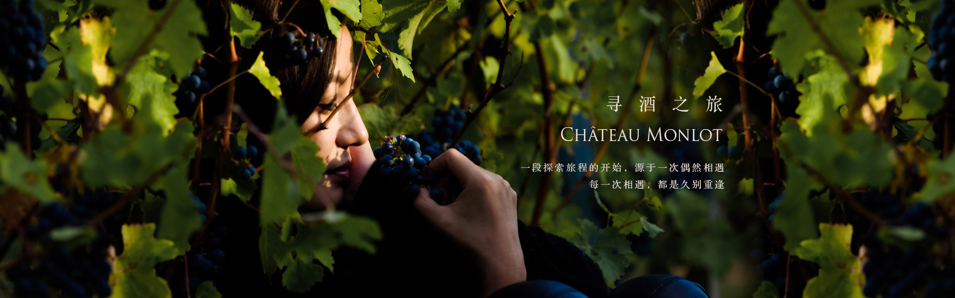 梦陇酒庄旗舰店(diàn)